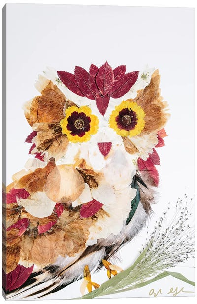 Owl - Reds Canvas Art Print - Oxeye Floral Co