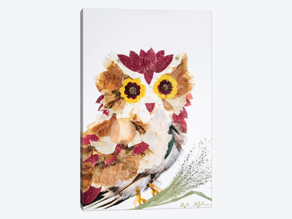 Owl - Reds by Oxeye Floral Co 1-piece Canvas Artwork