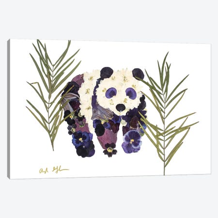 Panda Canvas Print #OFC23} by Oxeye Floral Co Canvas Print