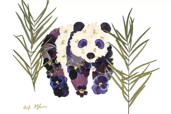 Oxeye Floral Co: Panda by Oxeye Floral Co
