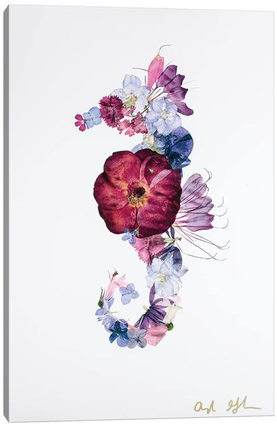 Seahorse - Bright Canvas Art Print - Oxeye Floral Co