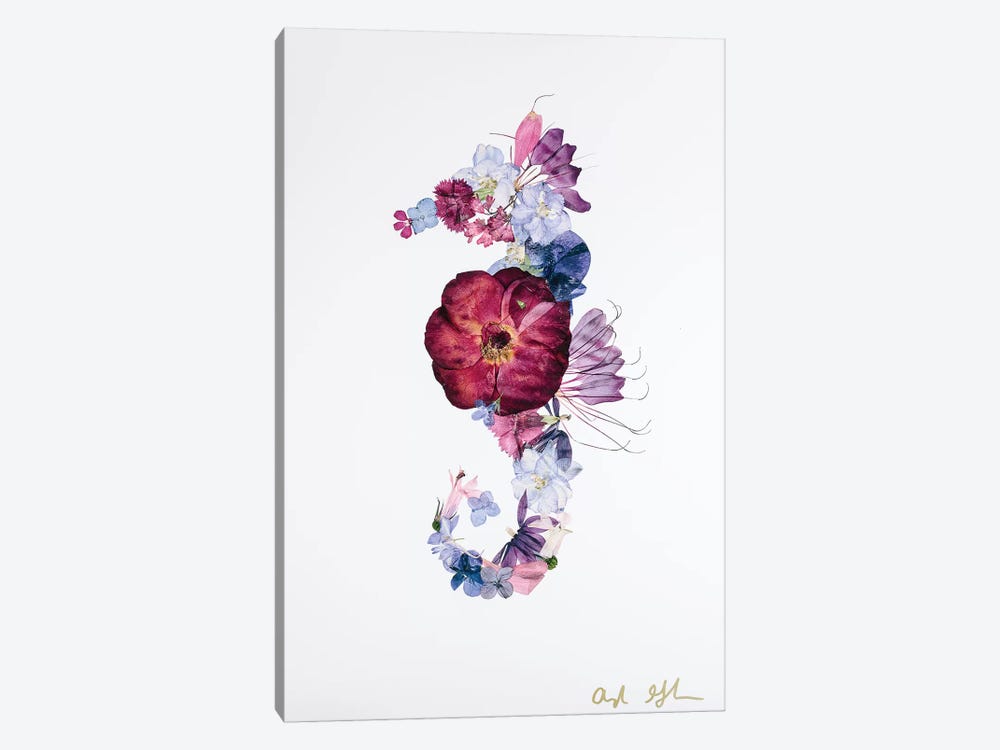 Seahorse - Bright by Oxeye Floral Co 1-piece Canvas Art Print