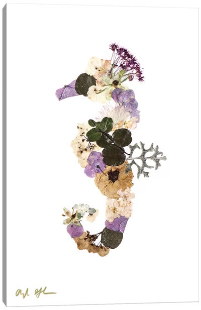 Seahorse - Neutral Canvas Art Print - Oxeye Floral Co