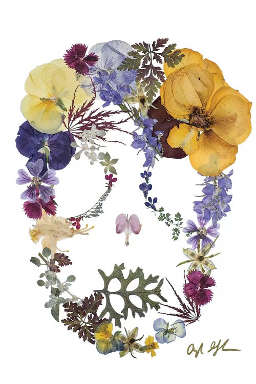 Skull - Savina by Oxeye Floral Co wall art
