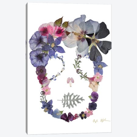 Skull - Sloane Canvas Print #OFC28} by Oxeye Floral Co Art Print