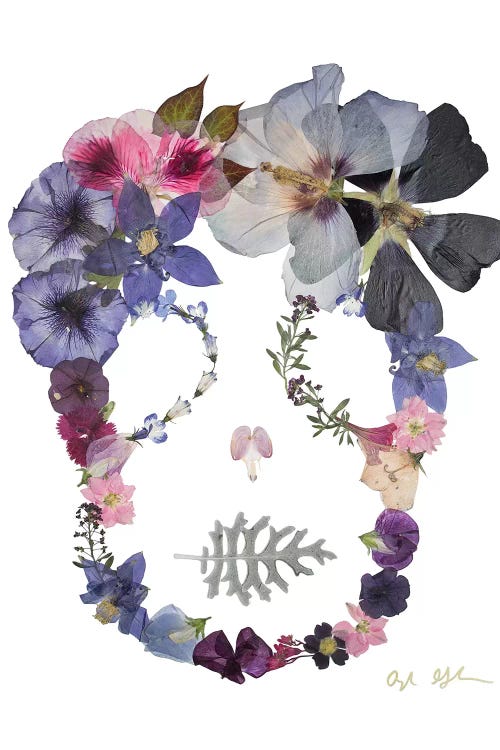 Skull - Sloane by Oxeye Floral Co wall art