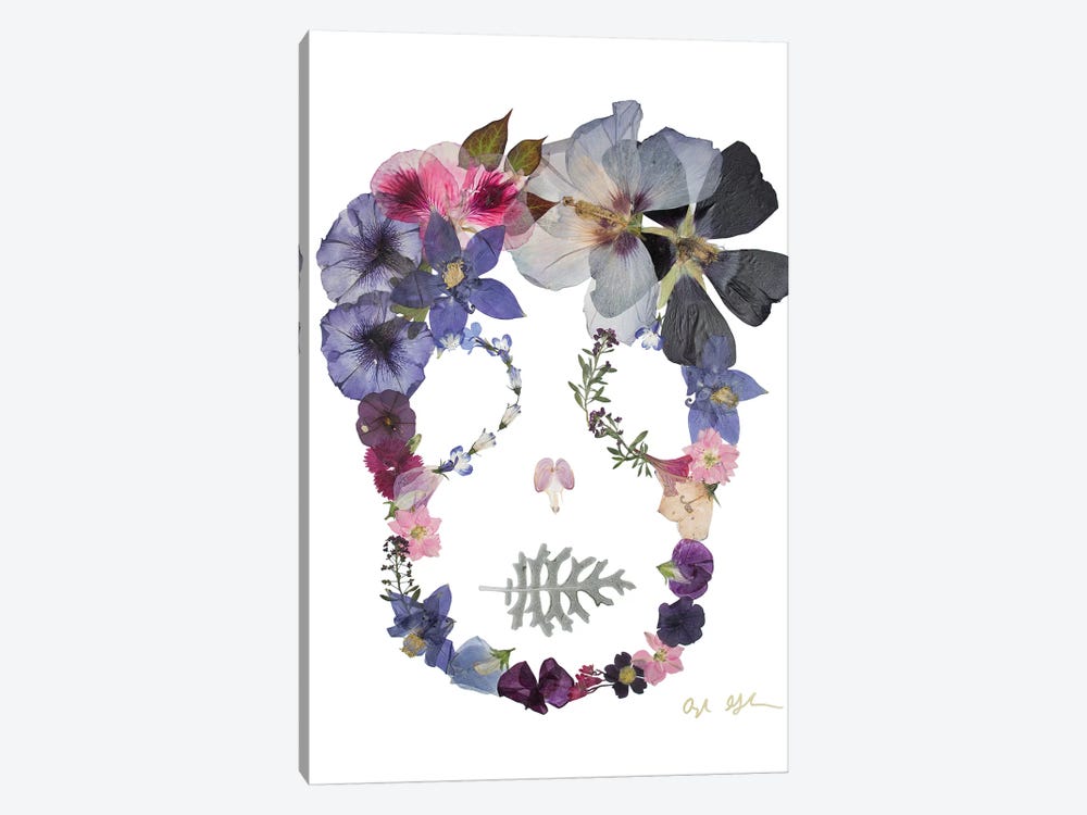 Skull - Sloane by Oxeye Floral Co 1-piece Canvas Art