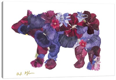 Bear II Canvas Art Print - Oxeye Floral Co