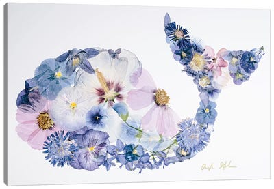 Whale Canvas Art Print - Oxeye Floral Co