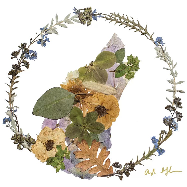 Wolf by Oxeye Floral Co wall art