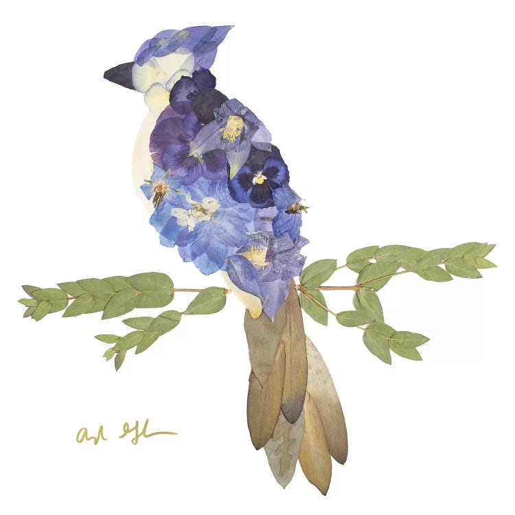 Blue Jay by Oxeye Floral Co wall art