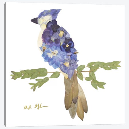 Blue Jay Canvas Print #OFC3} by Oxeye Floral Co Canvas Wall Art