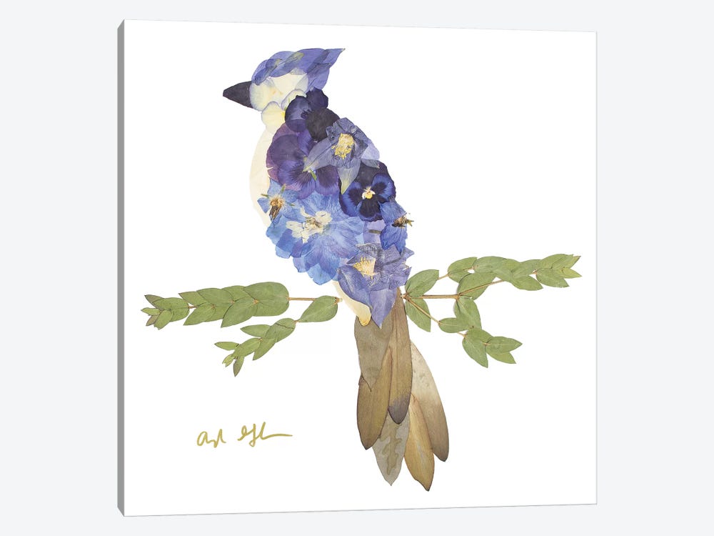 Blue Jay by Oxeye Floral Co 1-piece Canvas Art