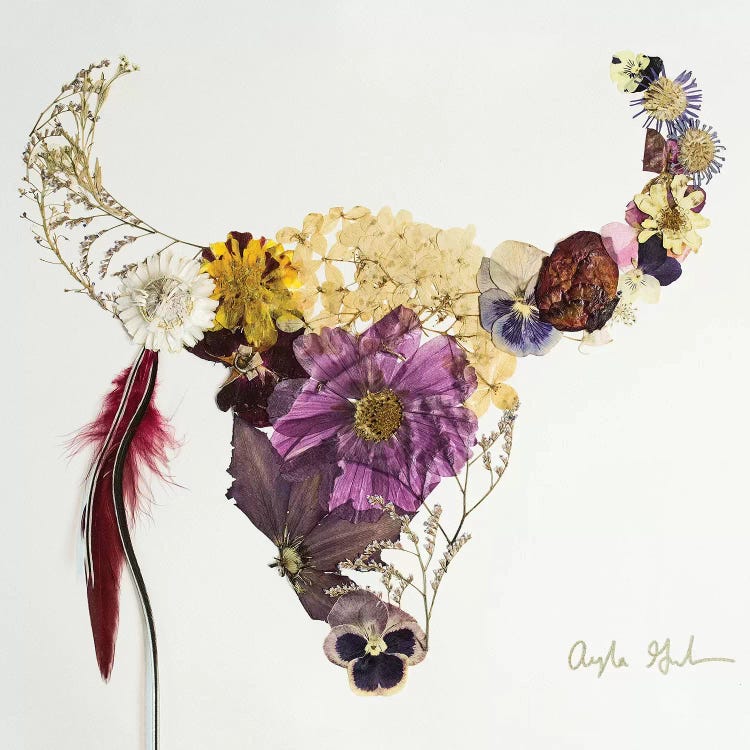Buffalo Beau by Oxeye Floral Co wall art