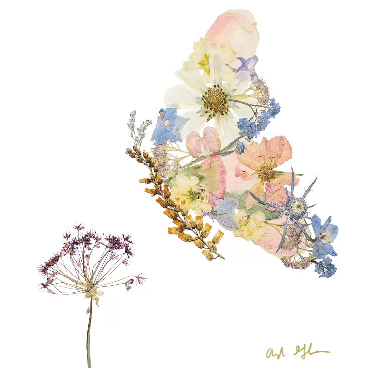 Butterfly by Oxeye Floral Co wall art