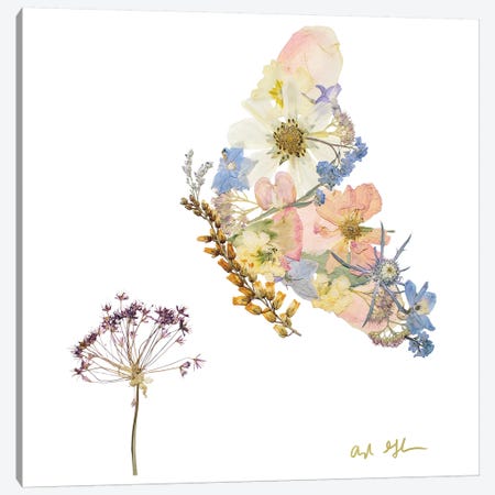 Butterfly Canvas Print #OFC7} by Oxeye Floral Co Art Print