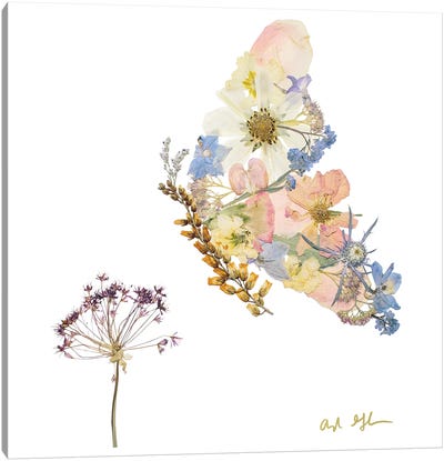 Butterfly Canvas Art Print - Oxeye Floral Co