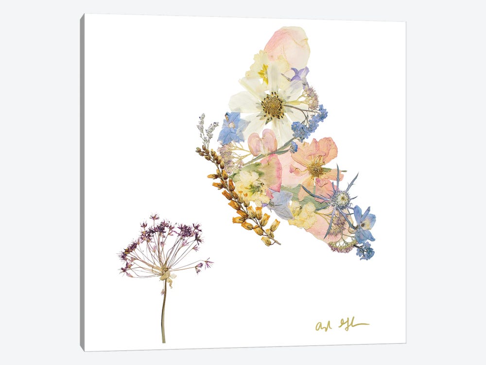 Butterfly by Oxeye Floral Co 1-piece Canvas Art