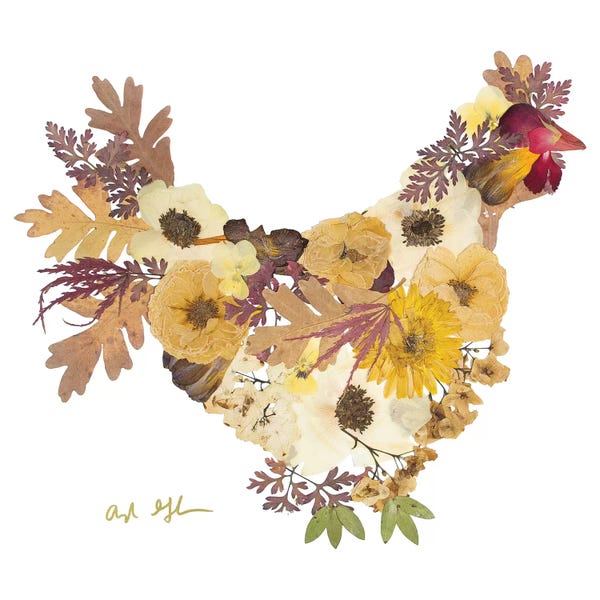 Oxeye Floral Co: Chicken by Oxeye Floral Co