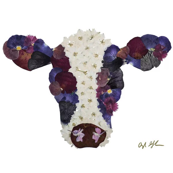 Oxeye Floral Co: Cow by Oxeye Floral Co