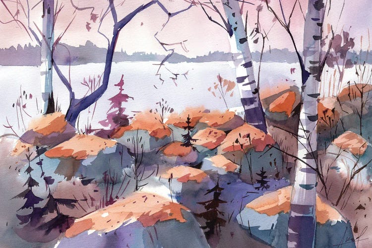 Evening On The Lake by Olga Aksenova wall art