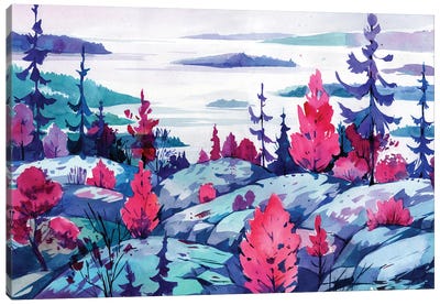 Northern Places Canvas Art Print - Olga Aksenova