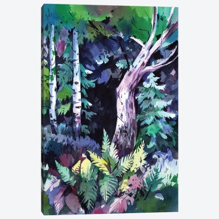 Forest Hole Canvas Print #OGA38} by Olga Aksenova Art Print