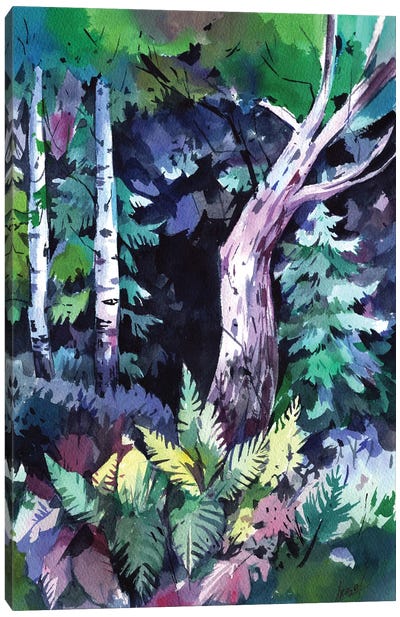 Forest Hole Canvas Art Print - Olga Aksenova