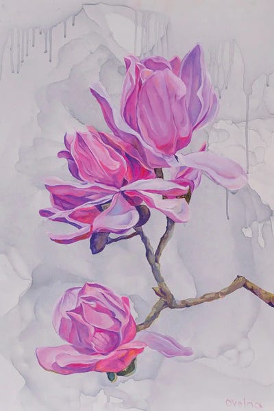 Magnolias by Olga Volna art print