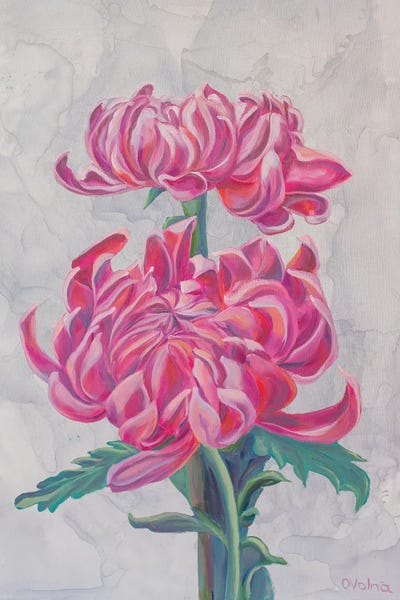 Dahlias: Dahlias by Olga Volna