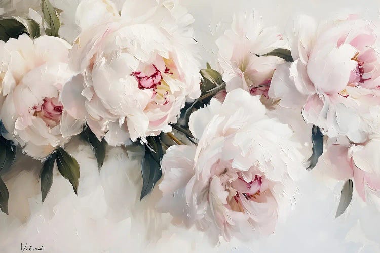 White Peonies