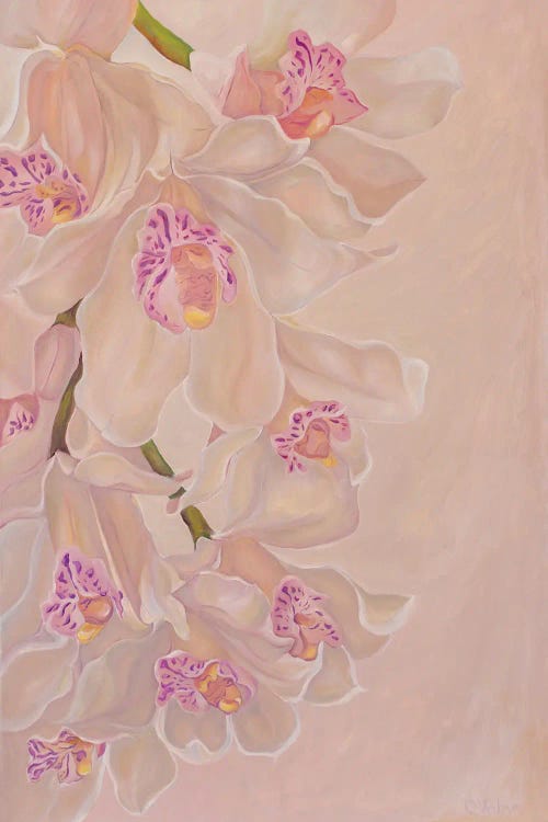 Gentle Orchids