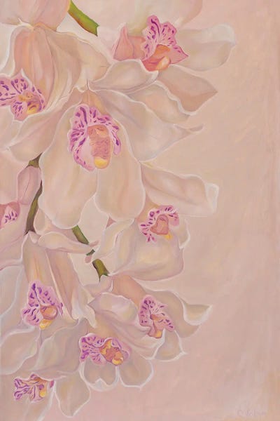 Orchids: Gentle Orchids by Olga Volna