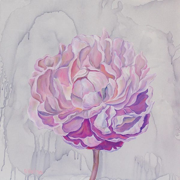 Peonies: Peony On Gray by Olga Volna