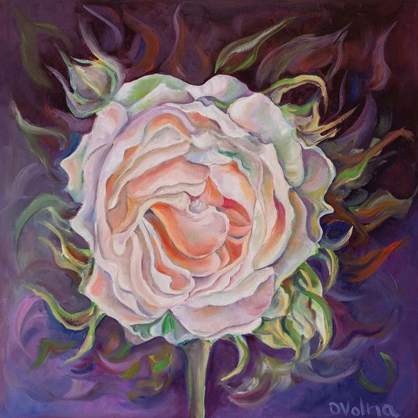 Fine Art Print: Rose by Olga Volna