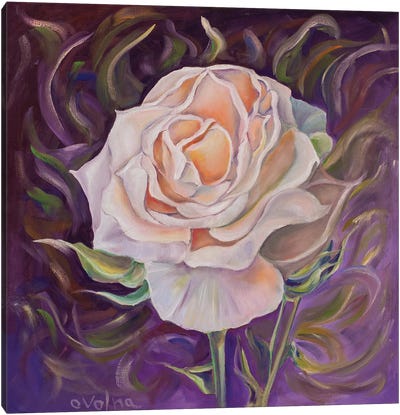 Rose II Canvas Art Print - Olga Volna