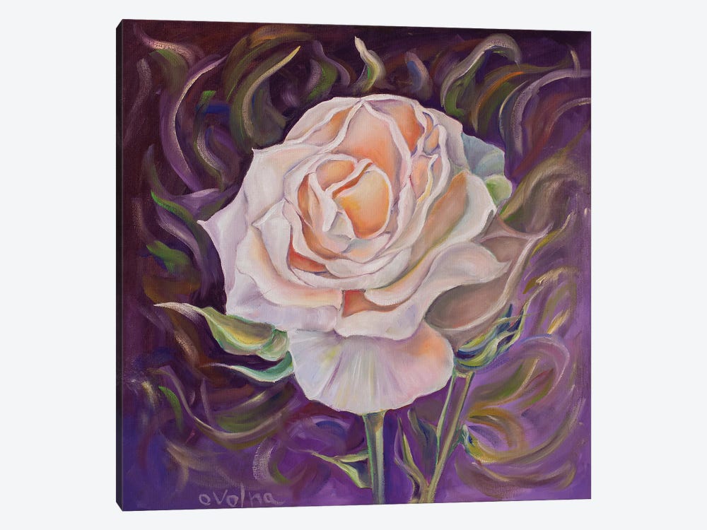 Rose II by Olga Volna 1-piece Canvas Print