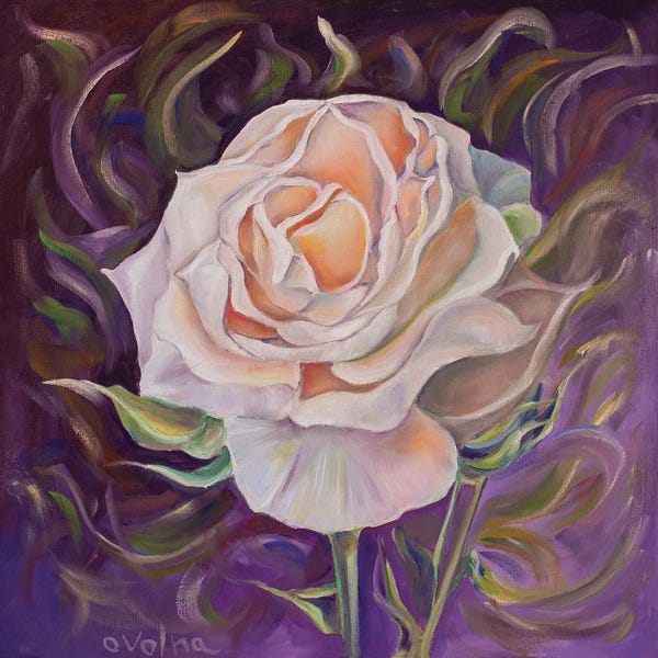 Fine Art Print: Rose II by Olga Volna