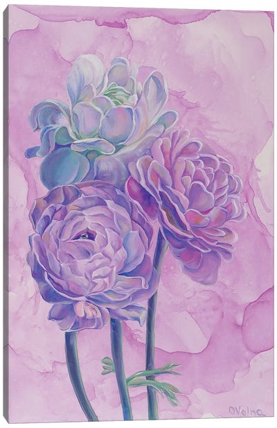 Lilac Roses Canvas Art Print - Olga Volna