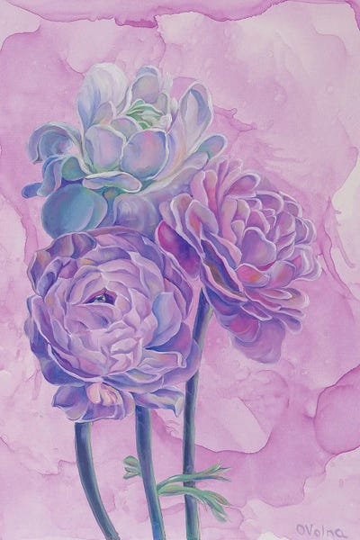 Fine Art Print: Lilac Roses by Olga Volna