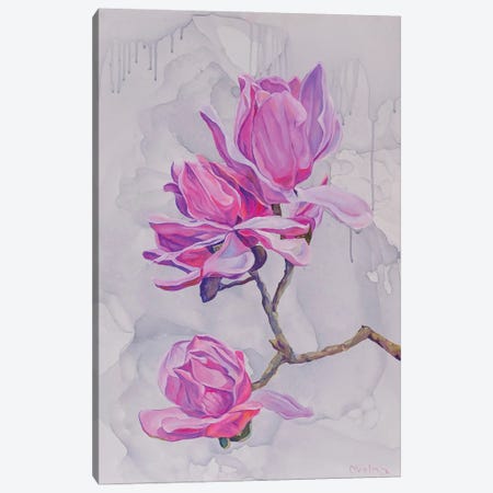 Magnolias Canvas Print #OGV1} by Olga Volna Canvas Print