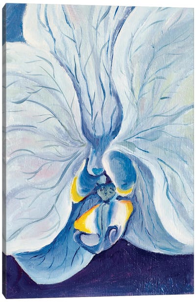 Blue Orchid Canvas Art Print - Olga Volna