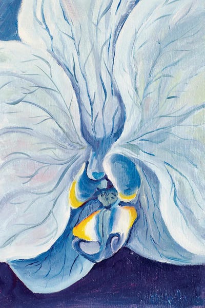 Orchids: Blue Orchid by Olga Volna