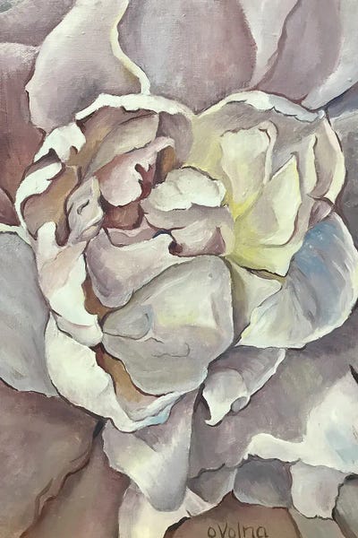 Peonies: Peony's Heart II by Olga Volna