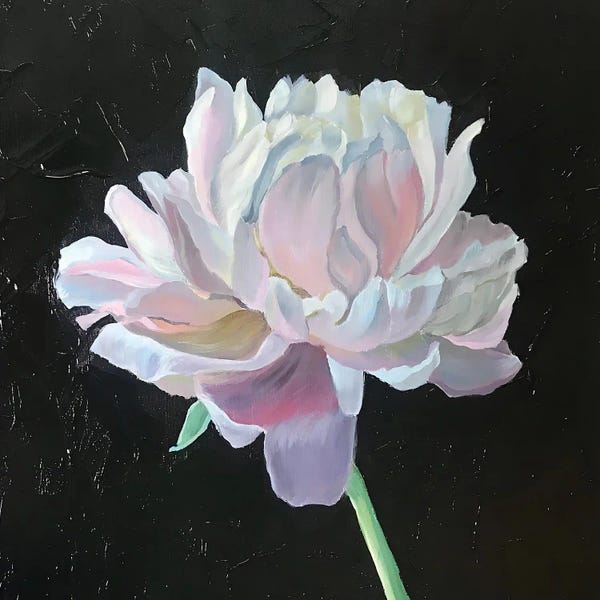 Lotuses: Lotus I by Olga Volna