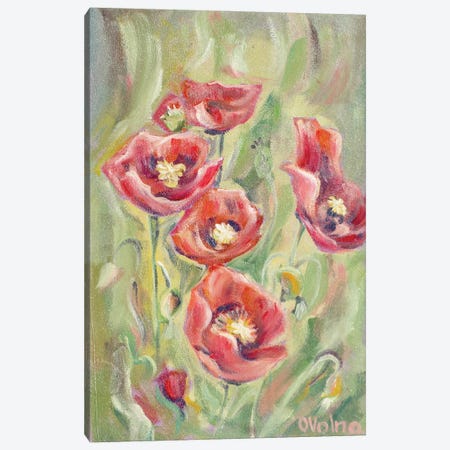 Poppies Canvas Print #OGV29} by Olga Volna Canvas Print