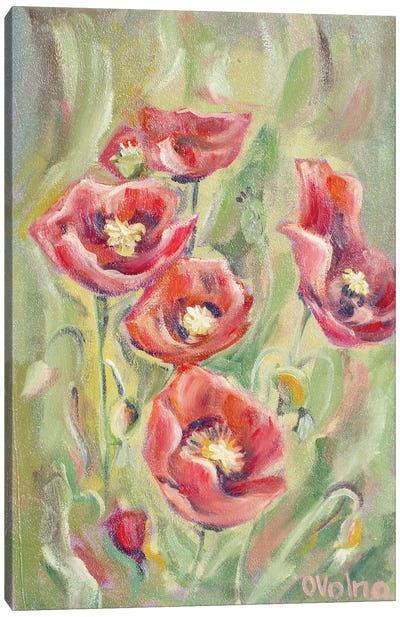 Poppies Canvas Art Print - Olga Volna