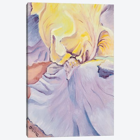 Yellow Iris Canvas Print #OGV30} by Olga Volna Canvas Artwork