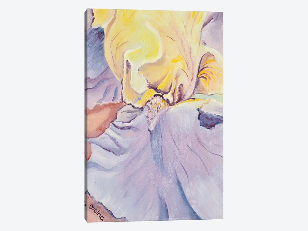 Yellow Iris by Olga Volna 1-piece Canvas Artwork