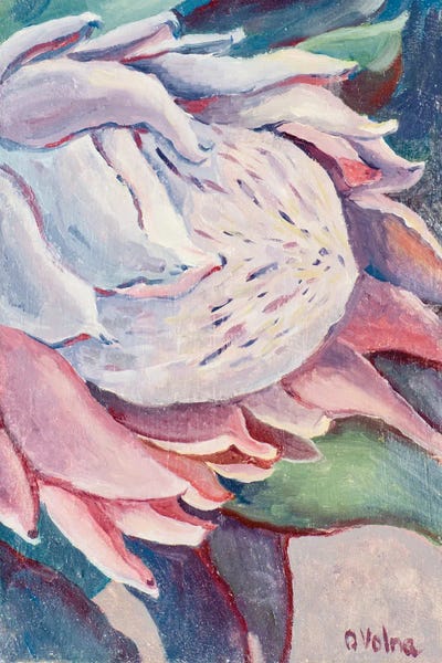 Protea by Olga Volna art print